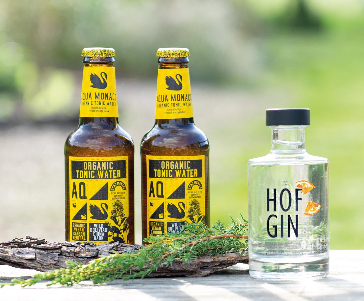 649_1_GIN_and_TONIC.jpg